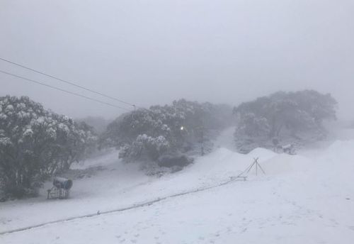 The brutally cold conditions led the overnight snow. (9NEWS)