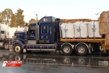 Generous convoy transports fodder to drought stricken King Island farmers 