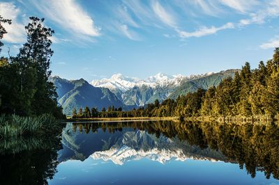 New Zealand travel is back