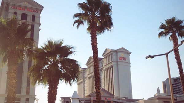 Las Vegas Caesars Palace hotel