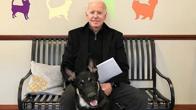 Joe and Jill Biden dog