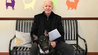 Joe Biden dog