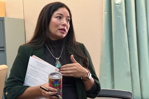 A deputada estadual democrata Andrea Romero, de Santa Fé, Novo México, fala sobre o lançamento de uma comissão bipartidária da verdade sobre os abusos em um rancho isolado no deserto, onde o financista e criminoso sexual Jeffrey Epstein certa vez recebeu convidados, e se as autoridades locais olharam para o outro lado, na terça-feira, 17 de fevereiro de 2026, no Capitólio do estado em Santa Fé.  