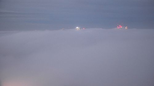 Sydney fog