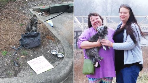 Dog dumped on side of road after owner’s arrest reunited with family 