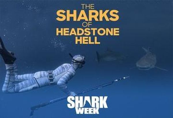 The Sharks Of Headstone Hell