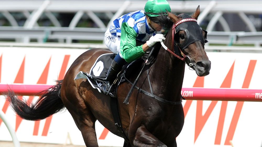 Signoff's Melbourne Cup campaign is in doubt. (AAP)