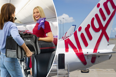 virgin australia pet flights