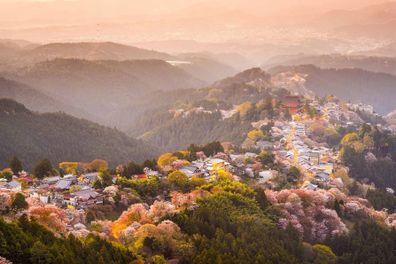 Discovering Japan's Stunning Peaks