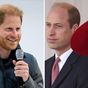William has 'blotted' Harry out of his life, claims expert