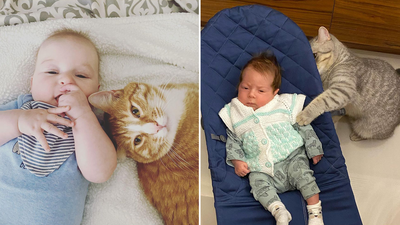 Adorable babies and cats of Instagram gallery