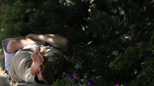 A man enjoys an afternoon nap in a shady place on a wall in a park during sunny weather in London.