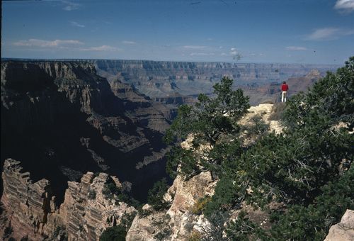 The Grand Canyon is a popular tourist spot with helicopters regularly making trips in and out of the landmark. (AAP)