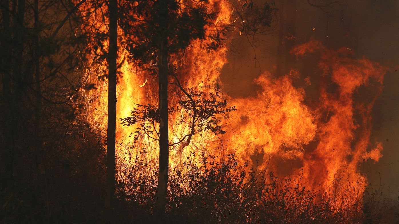 Los bomberos luchan contra los incendios forestales en Busbys Flat, al norte de Nueva Gales del Sur.