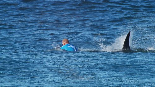 The shark approaches Fanning from behind. (AAP)