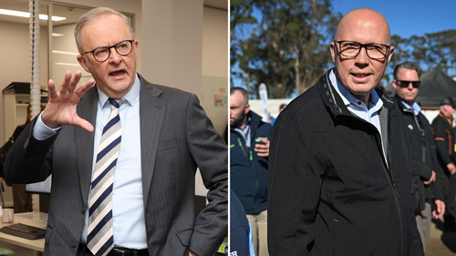Anthony Albanese and Peter Dutton.