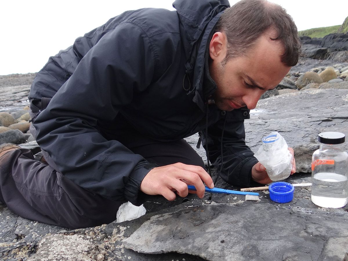 World's biggest Jurassic-era pterodactyl discovered on Isle of Skye