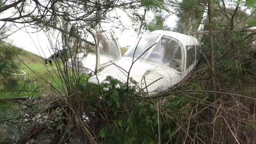 The plane came to a rest in bushland in a paddock. (9NEWS)