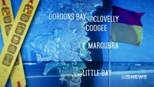 "Tui-tubes" will be mounted at ten different beachfront locations across the state. (9NEWS)