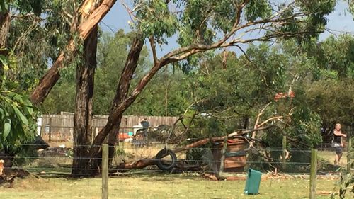 Trees were brought down in Tynong, in the state's east. (Karen Damen)