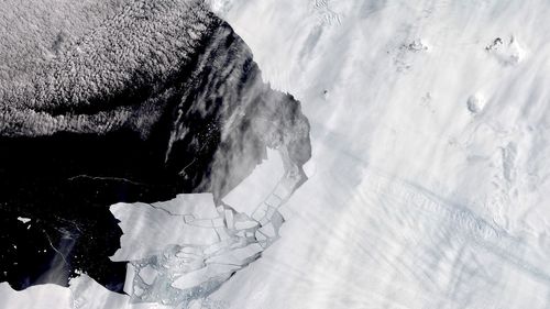 Gli iceberg si staccano dal ghiacciaio Pine Island in Antartide, uno dei ghiacciai in ritirata più rapida del continente, l'11 febbraio 2020.