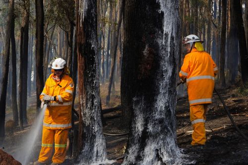 Firefighters fight bushfires in WA's south west.