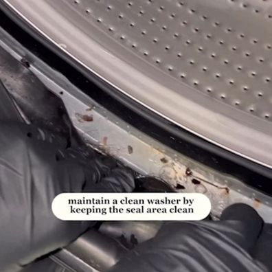 Professional cleaner tips dishwasher washing machine