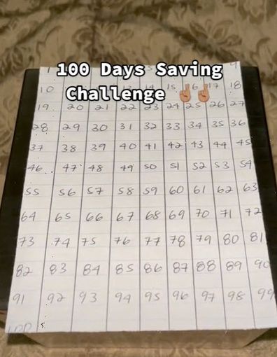 TikTok 100 Day Savings Challenge