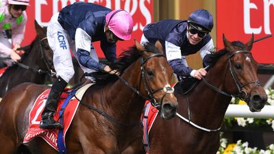 Rekindling edges Johannes Vermeer and Max Dynamite to give Corey Brown his second win at Melbourne Cup. He also finished first with Shocking in 2009.