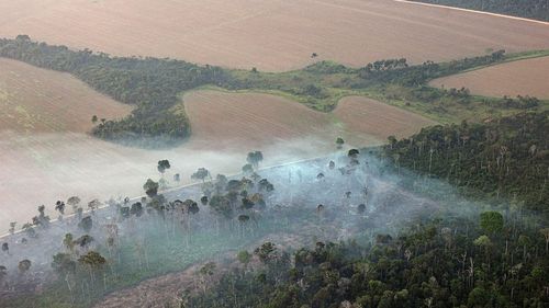 In September 2020, Amazônia Real carried out a flyover in the southwestern region of Pará, Brazil, and detected outbreaks of fire, deforestation and mining in conservation units.