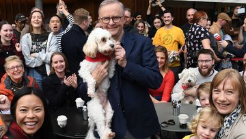 Prime minister-elect Anthony Albanese holds his dog Toto as he shares a coffee with friends  in Sydney.