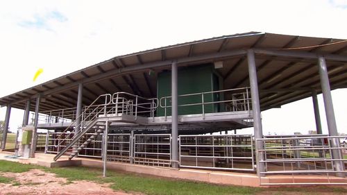 The abattoir opened in 2015. (9NEWS)