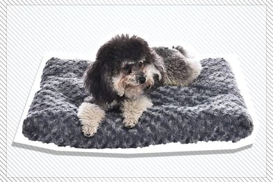 9PR: Amazon Basics Plush Pet Bed and Dog Crate Pad