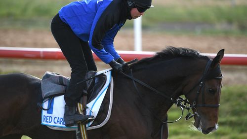 Tiberian will be racing on Tuesday. (Image: AAP)