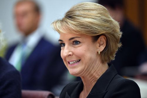 Michaelia Cash shocked the Senate Estimates Hearing with her comments yesterday. (AAP)