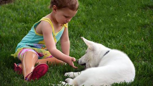 Footless little girl adopts paw-less puppy 