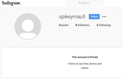 Prince Harry, fake Instagram account, finsta