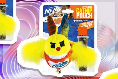 9PR: Nerf Plush Bird Catnip Toy