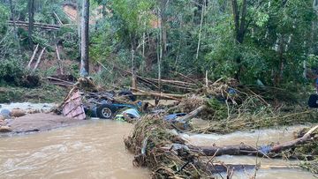 Upturned trees and a vehicle lie in floodwaters in Main Arm.