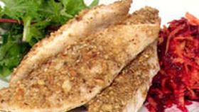 Dukkah coated john dory with beetroot and carrot salad
