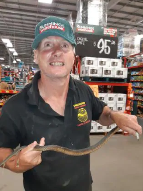 Snake catcher Raymond Hoser was called out to Pakenham Bunnings last night when a deadly Copperhead crawled out from under a pallet.