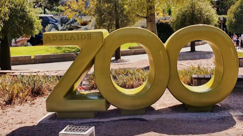 Adelaide Zoo are investigating the deaths, but the cause remains unknown at this stage.