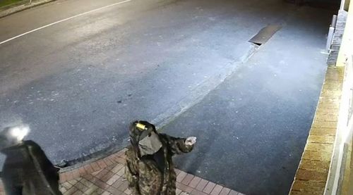 CCTV footage supplied by NZ Police shows Phillips and a person believed to be one of his children.