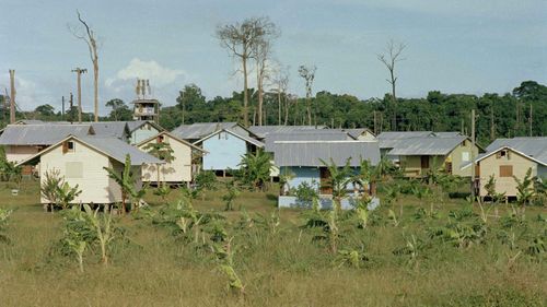 Scene at People's Temple, Jonestown, Guyana, 1978, after mass suicide by cult led by Jim Jones.