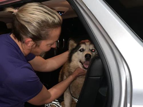 Oreo was reunited with its owner eight years on.