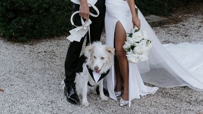 Pets at weddings