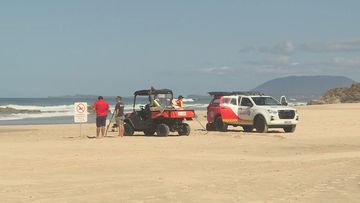 Adelaide news: Man saves baby dolphin by carrying it back out to sea at  Moana Beach