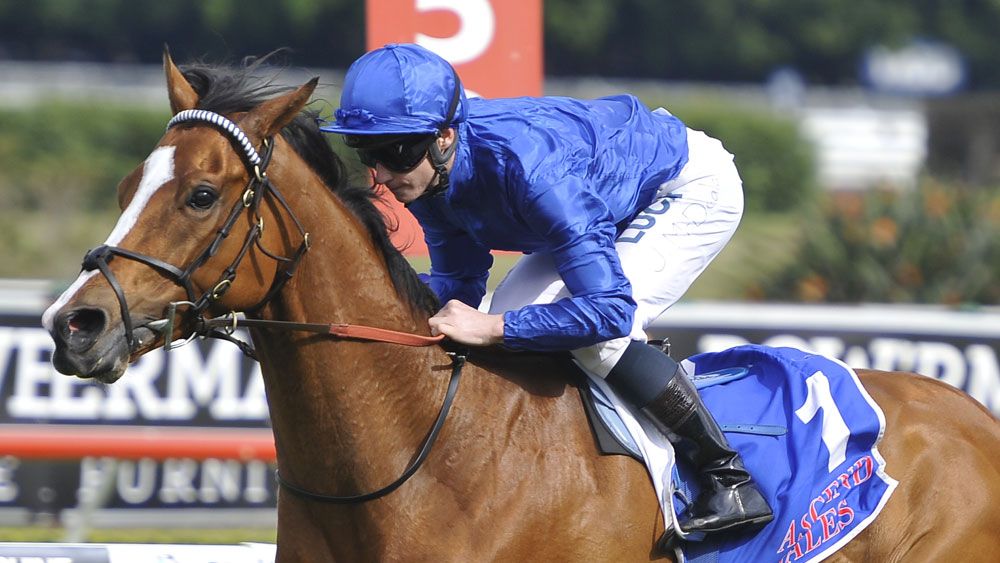 Hartnell is favourite for the Turnbull Stakes. (AAP)