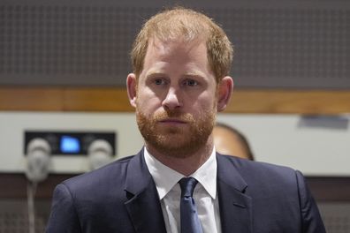 FILE - Britain's Prince Harry speaks during a high level event sponsored by Lesotho at U.N. headquarters, Tuesday, Sept. 24, 2024. (AP Photo/Frank Franklin II, file)