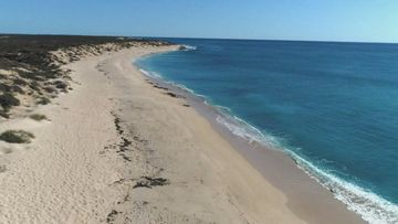 The 11-year-old was rushed to Exmouth hospital ﻿after being attacked by a shark while he was in  the Cape Range National Park at the Kurrajong Campsite this afternoon.